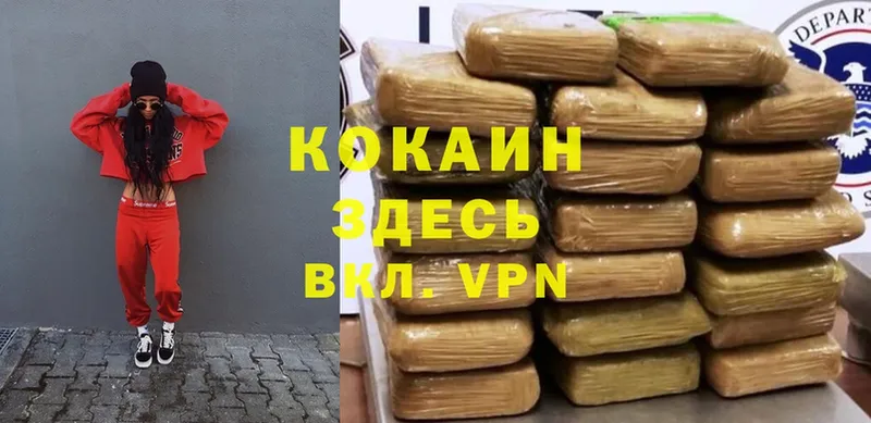 Cocaine VHQ  магазин продажи   Малаховка 